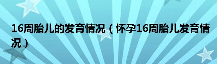 16周胎兒的發(fā)育情況（懷孕16周胎兒發(fā)育情況）