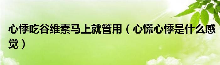 心悸吃谷維素馬上就管用（心慌心悸是什么感覺）