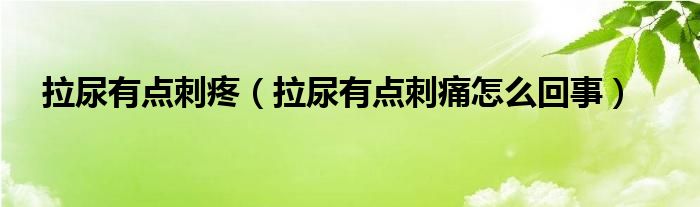 拉尿有點(diǎn)刺疼（拉尿有點(diǎn)刺痛怎么回事）