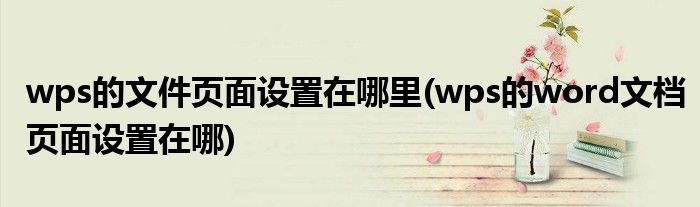 wps的文件頁面設置在哪里(wps的word文檔頁面設置在哪)