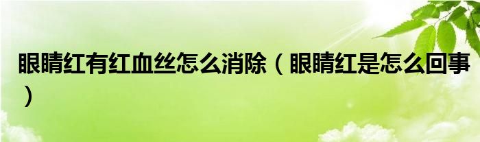 眼睛紅有紅血絲怎么消除（眼睛紅是怎么回事）