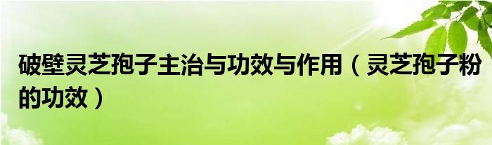 破壁靈芝孢子主治與功效與作用（靈芝孢子粉的功效）