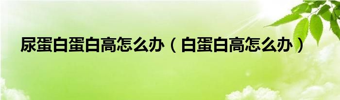 尿蛋白蛋白高怎么辦（白蛋白高怎么辦）