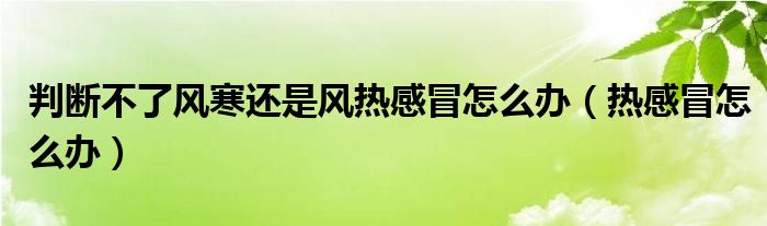 判斷不了風(fēng)寒還是風(fēng)熱感冒怎么辦（熱感冒怎么辦）