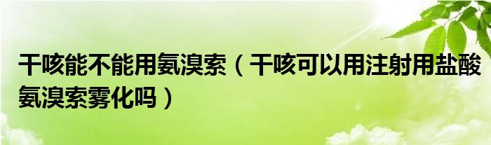 干咳能不能用氨溴索（干咳可以用注射用鹽酸氨溴索霧化嗎）