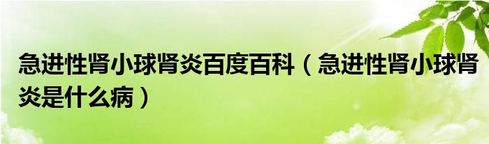 急進(jìn)性腎小球腎炎百度百科（急進(jìn)性腎小球腎炎是什么?。? /></span>
		<span id=