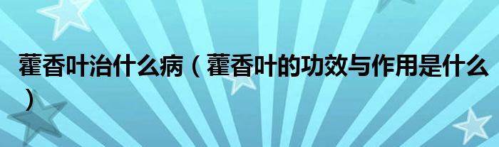 藿香葉治什么?。ㄞ较闳~的功效與作用是什么）