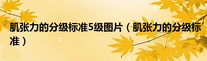 肌張力的分級(jí)標(biāo)準(zhǔn)5級(jí)圖片（肌張力的分級(jí)標(biāo)準(zhǔn)）