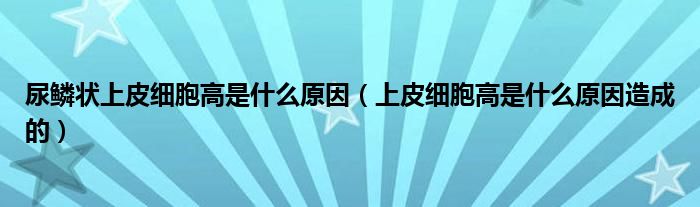 尿鱗狀上皮細(xì)胞高是什么原因（上皮細(xì)胞高是什么原因造成的）