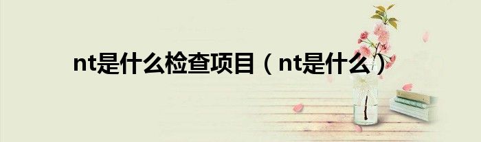 nt是什么檢查項(xiàng)目（nt是什么）