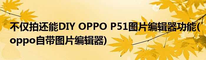 不僅拍還能DIY OPPO P51圖片編輯器功能(oppo自帶圖片編輯器)