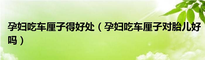 孕婦吃車(chē)?yán)遄拥煤锰帲ㄔ袐D吃車(chē)?yán)遄訉?duì)胎兒好嗎）