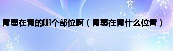 胃竇在胃的哪個部位?。ㄎ父]在胃什么位置）