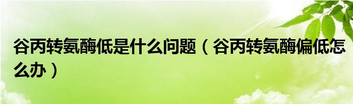 谷丙轉(zhuǎn)氨酶低是什么問(wèn)題（谷丙轉(zhuǎn)氨酶偏低怎么辦）