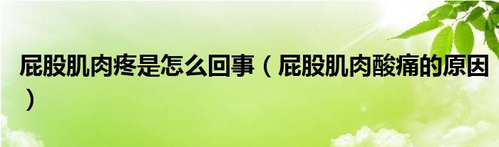 屁股肌肉疼是怎么回事（屁股肌肉酸痛的原因）