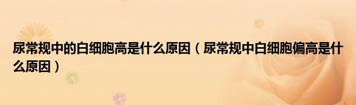 尿常規(guī)中的白細(xì)胞高是什么原因（尿常規(guī)中白細(xì)胞偏高是什么原因）