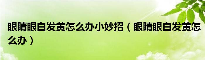 眼睛眼白發(fā)黃怎么辦小妙招（眼睛眼白發(fā)黃怎么辦）