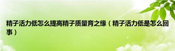 精子活力低怎么提高精子質量育之緣（精子活力低是怎么回事）