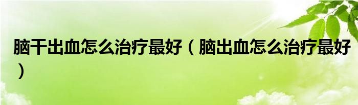 腦干出血怎么治療最好（腦出血怎么治療最好）