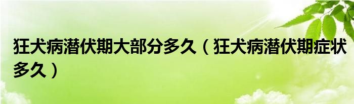 狂犬病潛伏期大部分多久（狂犬病潛伏期癥狀多久）