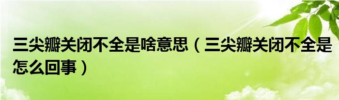 三尖瓣關(guān)閉不全是啥意思（三尖瓣關(guān)閉不全是怎么回事）