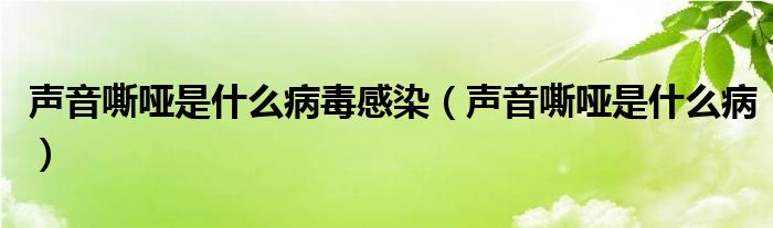 聲音嘶啞是什么病毒感染（聲音嘶啞是什么?。?class='thumb lazy' /></a>
		    <header>
		<h2><a  href=