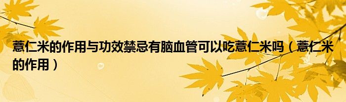 薏仁米的作用與功效禁忌有腦血管可以吃薏仁米嗎（薏仁米的作用）