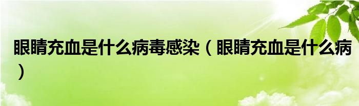 眼睛充血是什么病毒感染（眼睛充血是什么病）