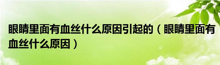 眼睛里面有血絲什么原因引起的（眼睛里面有血絲什么原因）