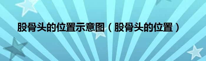 股骨頭的位置示意圖（股骨頭的位置）