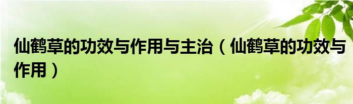 仙鶴草的功效與作用與主治（仙鶴草的功效與作用）