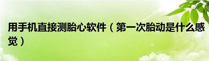 用手機直接測胎心軟件（第一次胎動是什么感覺）