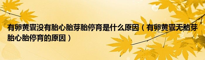 有卵黃囊沒(méi)有胎心胎芽胎停育是什么原因（有卵黃囊無(wú)胎芽胎心胎停育的原因）