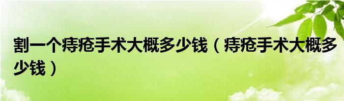 割一個(gè)痔瘡手術(shù)大概多少錢（痔瘡手術(shù)大概多少錢）