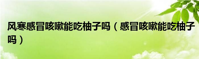 風寒感冒咳嗽能吃柚子嗎（感冒咳嗽能吃柚子嗎）