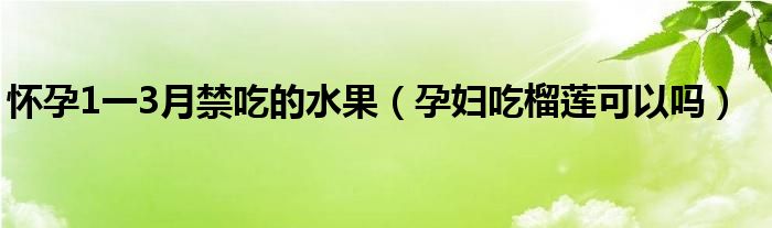 懷孕1一3月禁吃的水果（孕婦吃榴蓮可以嗎）