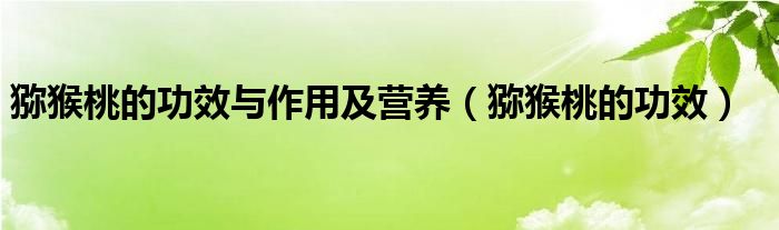 獼猴桃的功效與作用及營(yíng)養(yǎng)（獼猴桃的功效）