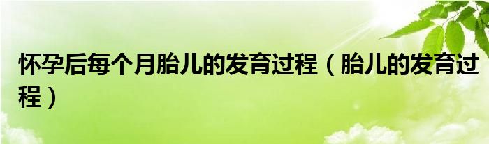 懷孕后每個月胎兒的發(fā)育過程（胎兒的發(fā)育過程）