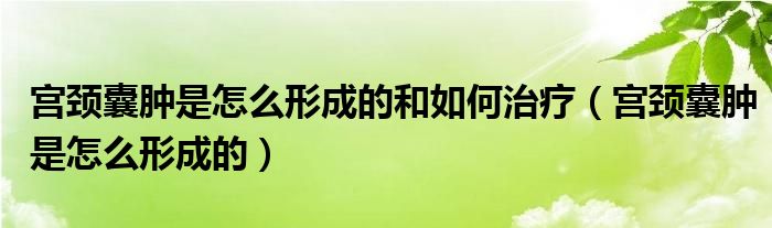 宮頸囊腫是怎么形成的和如何治療（宮頸囊腫是怎么形成的）