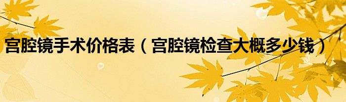 宮腔鏡手術價格表（宮腔鏡檢查大概多少錢）