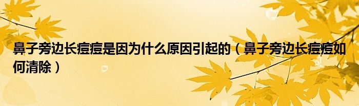 鼻子旁邊長(zhǎng)痘痘是因?yàn)槭裁丛蛞鸬模ū亲优赃呴L(zhǎng)痘痘如何清除）