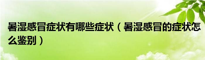 暑濕感冒癥狀有哪些癥狀（暑濕感冒的癥狀怎么鑒別）