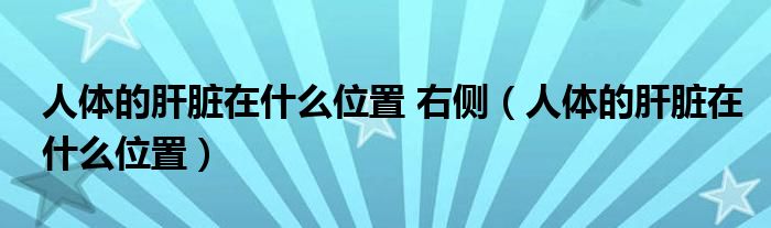 人體的肝臟在什么位置 右側(cè)（人體的肝臟在什么位置）