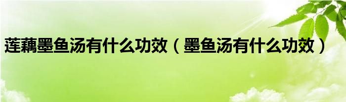 蓮藕墨魚湯有什么功效（墨魚湯有什么功效）