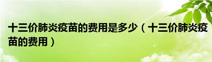 十三價肺炎疫苗的費用是多少（十三價肺炎疫苗的費用）