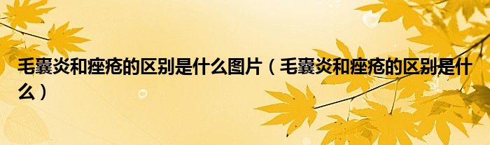 毛囊炎和痤瘡的區(qū)別是什么圖片（毛囊炎和痤瘡的區(qū)別是什么）