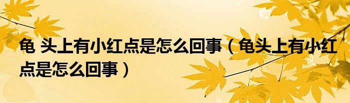 龜 頭上有小紅點是怎么回事（龜頭上有小紅點是怎么回事）