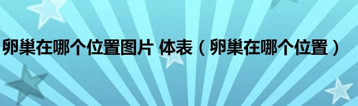 卵巢在哪個(gè)位置圖片 體表（卵巢在哪個(gè)位置）