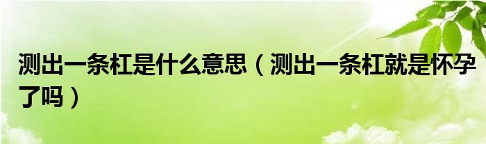 測出一條杠是什么意思（測出一條杠就是懷孕了嗎）