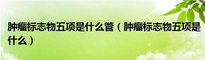 腫瘤標(biāo)志物五項(xiàng)是什么管（腫瘤標(biāo)志物五項(xiàng)是什么）